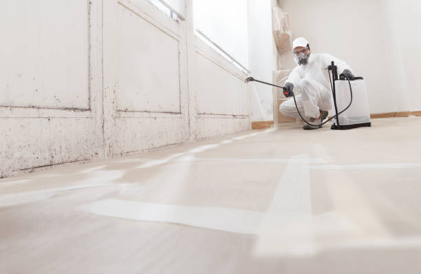 24/7 Emergency Attic Mold Removal experts in Newport, OR